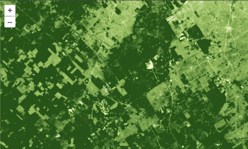 NDVI generated from a Sentinel-2 GeoTIFF